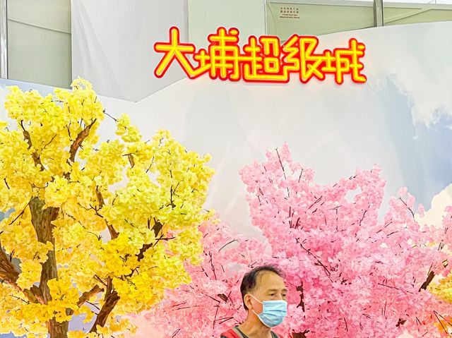 小小遙控賽車