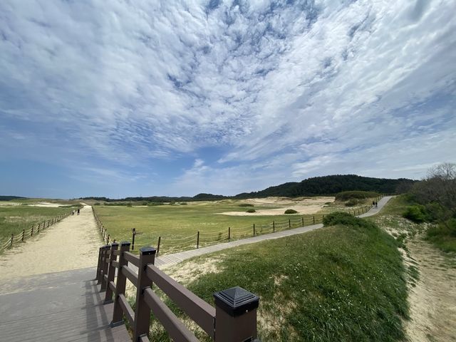 둘리가 태어난 후에 생겨진 태안 신두리 해안사구🎶