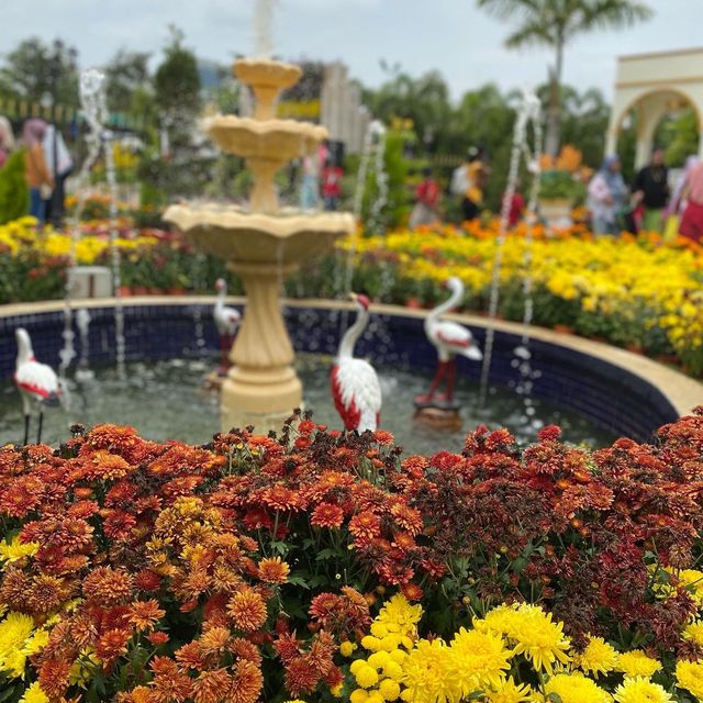 flower festival  flower festival