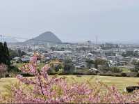 Togeinomura Park