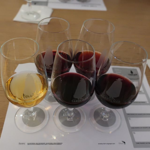 포르투여행 필수코스, 포트와인 투어는 꼭 해주세요🍷🇵🇹