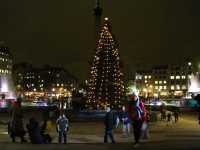 Trafalgar Square at night