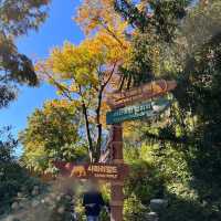 韓国【エバーランド】紅葉とハロウィンが楽しめる動物園🧡