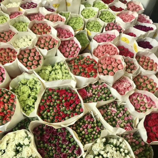 Beautiful Flower Market Road at Hong Kong🌹