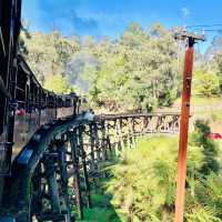 Puffing Billy Train Ride Experience