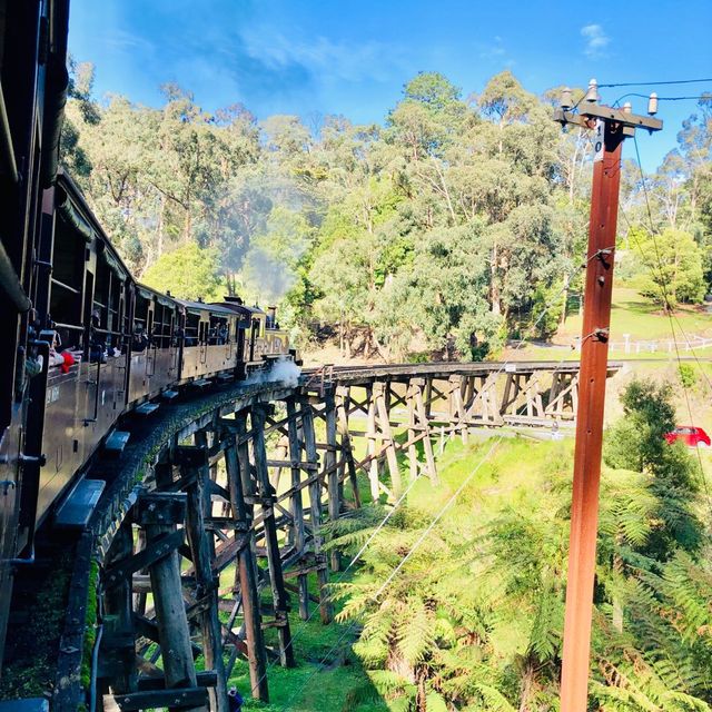 Puffing Billy Train Ride Experience