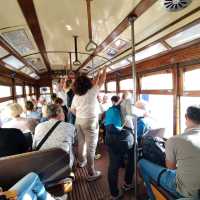 Tram 28 and Cards