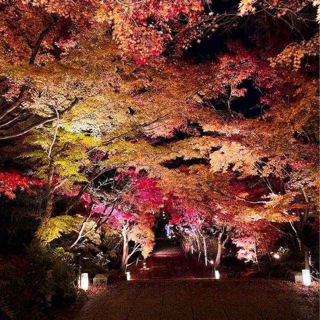 【もみじの永観堂】オススメ紅葉スポット
