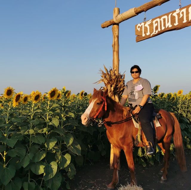 วันหยุดสุดชิล @ไร่คุณลำยอง จ.ลพบุรี