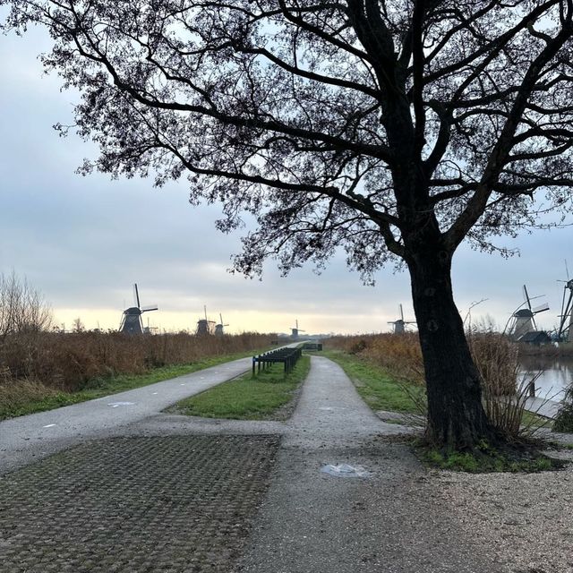 Windmills at Kinderdijk