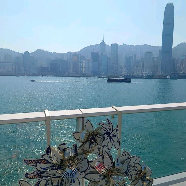 哇！好漂亮啊！OTE 太陽神！聖誕特展！