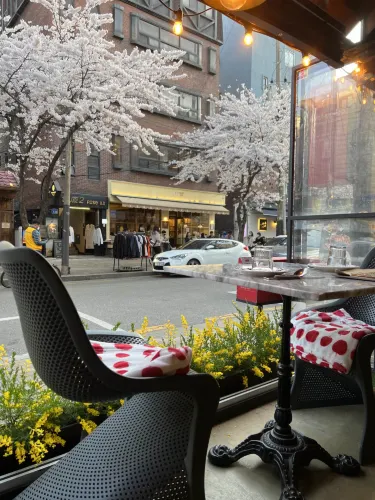 韓国/ソウル【合井】桜の木を眺めながらお食事ができるピザ屋さん🍕🌸