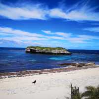 Rottnest island 