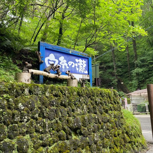 【長野】軽井沢に行ったら訪れたい癒しの滝
