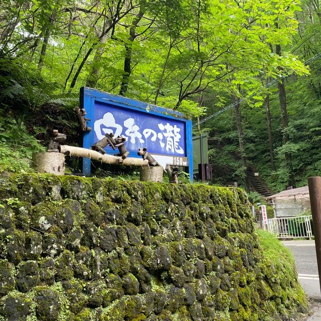 【長野】軽井沢に行ったら訪れたい癒しの滝