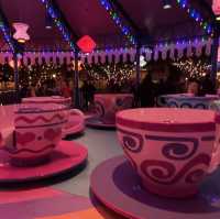 夜遊迪士尼樂園