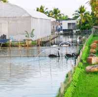 คาเฟ่ Mini Zoo