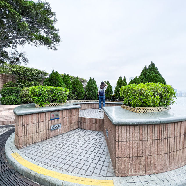 無敵海景 金紫荊廣場