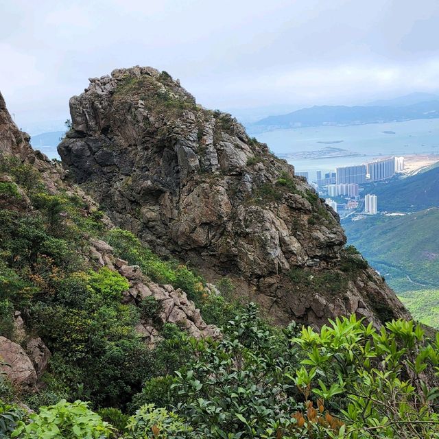 羅漢塔一樹洞