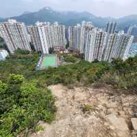 玉桂山