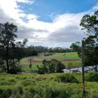 Close Encounters In Werribee