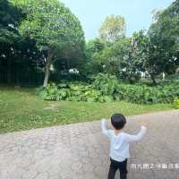 迪欣湖