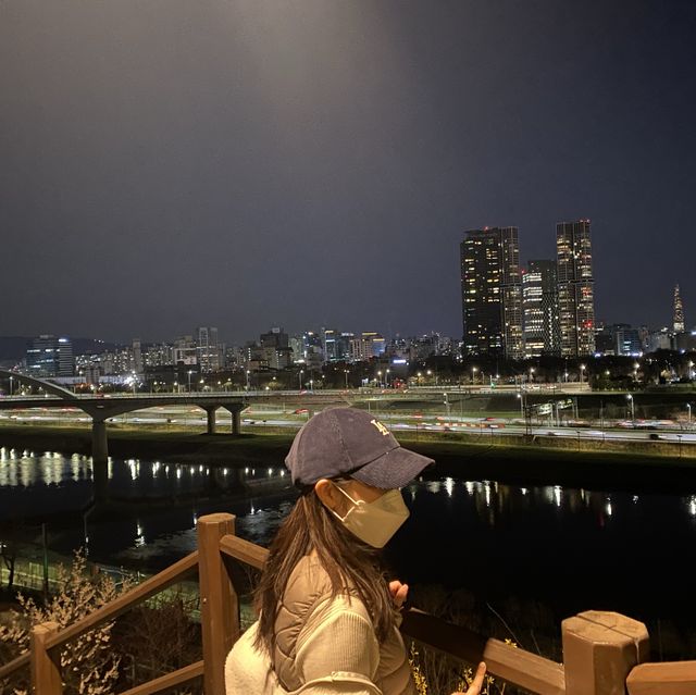 서울 야경 명소  "응봉산"