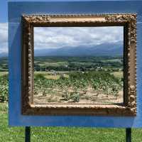 まるで絵画のような風景😊フラワーランドかみふらの