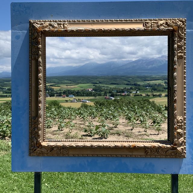 まるで絵画のような風景😊フラワーランドかみふらの