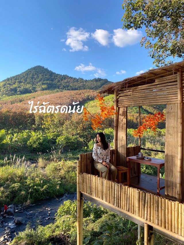 พาเธอมาหลงไร่.. 🌴🌳