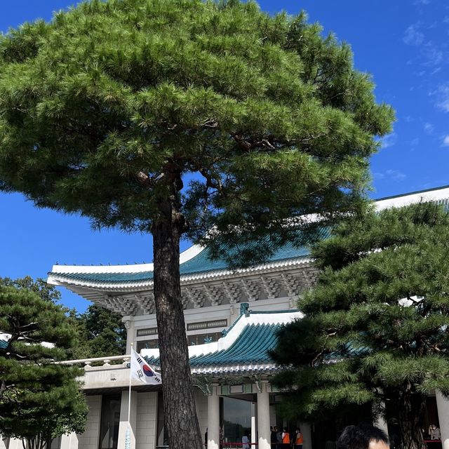 ‘청와대, 국민 품으로’ 청와대 개방 관람투어 