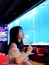 中環獨有鯊魚酒吧!食飽先暢飲!  平時去酒吧都黑麻麻, 今次呢間酒吧好特別,有鯊魚BB陪你一齊飲 唔喺剩喺 #IKEA 先有鯊魚㗎🤣 中環Bloop Shisha Lounge 都有鯊魚BB 細細條