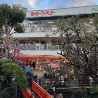 【東京】花やしきレトロが魅力なテーマパーク