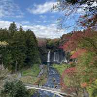 🇯🇵  一次過參觀溫婉和雄偉的兩個瀑布 - 白系の滝と音止の滝