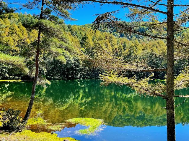 美しき水鏡！御射鹿池