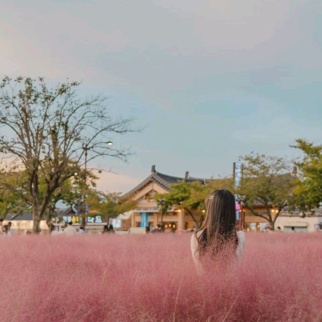 🌸핑크빛 물결이 넘실거리는 풍경과 한국의 조화 [경주, 첨성대]