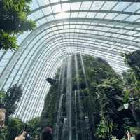 Garden by the bay @ Singapore