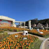 🇰🇷🎃 Halloween Four Seasons Garden