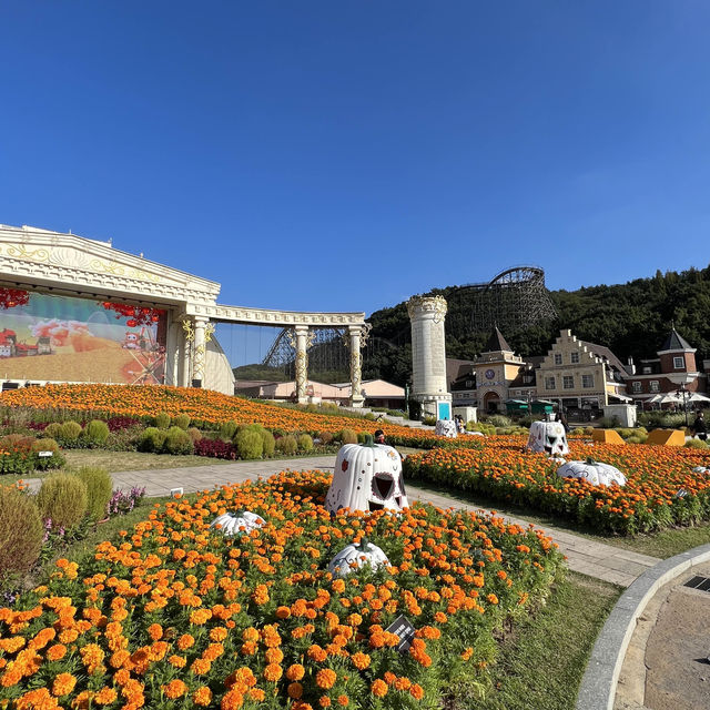 🇰🇷🎃 Halloween Four Seasons Garden