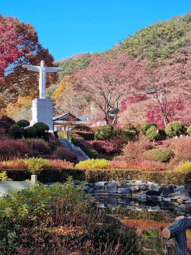 가을의 연못을 담아요