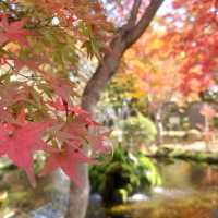 【長野・小諸】小諸城址懐古園