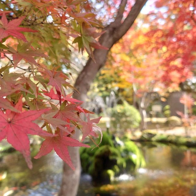 【長野・小諸】小諸城址懐古園