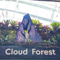 Avatar Cloud Forest launch