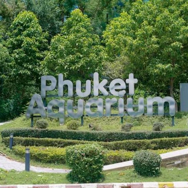 “ Phuket Aquarium ⛱️ แหลมพันวา ภูเก็ต 🐠 🐡🐙🐟