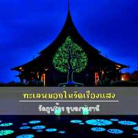 ทะเลหมอกในวัดเรืองแสง อุบลราชธานี