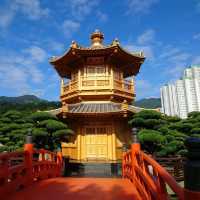 從鬧市中尋找安寧 南蓮園池