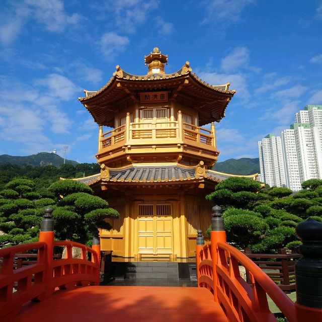從鬧市中尋找安寧 南蓮園池