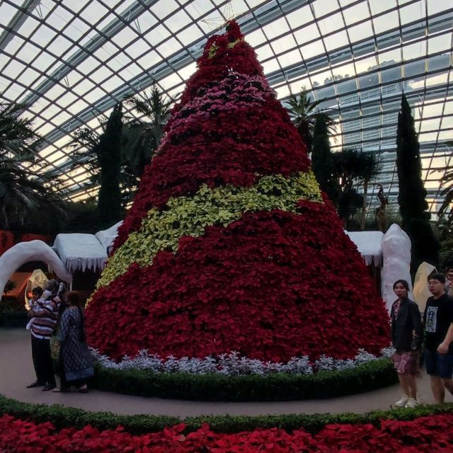 Christmas @ Flower Dome