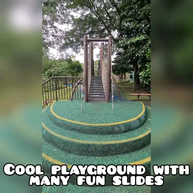 Playground fun with colourful slides