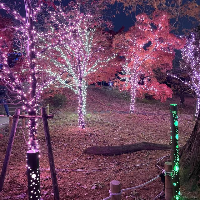愛知県清須市　清洲公園のイルミネーション